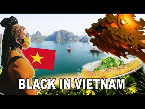 Bonobo: Nguồn Gốc Tiến Hóa Của Ngôn Ngữ Con Người?_tối ưu hóa video YouTube cho SEO