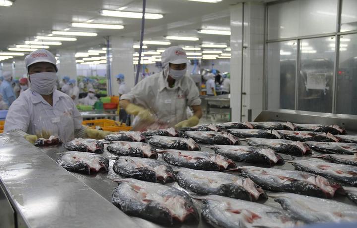 Loại cá được khen