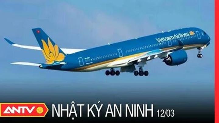 Bonobo: Nguồn Gốc Tiến Hóa Của Ngôn Ngữ Con Người?